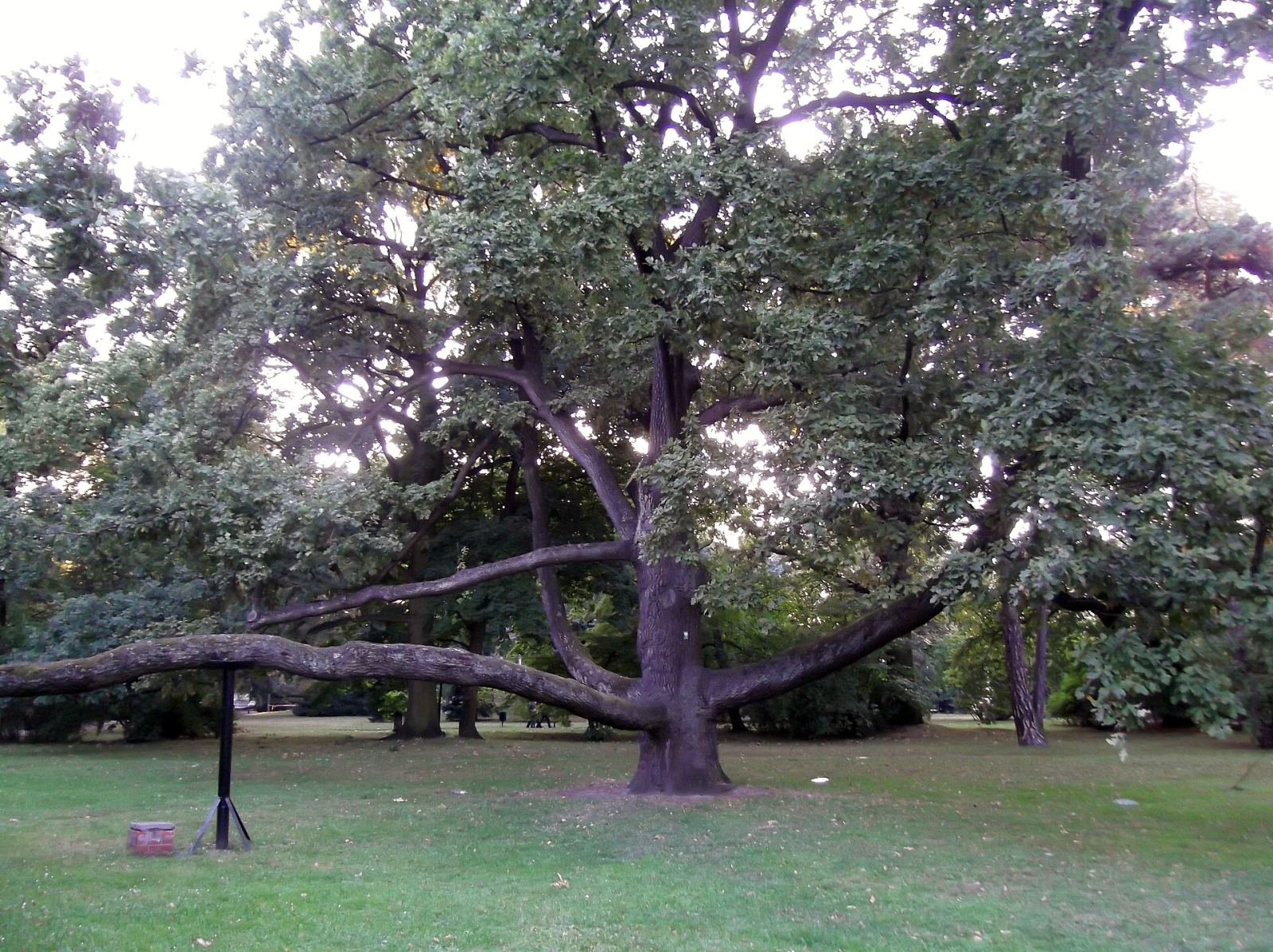 Park im. Worcella, Łódź
