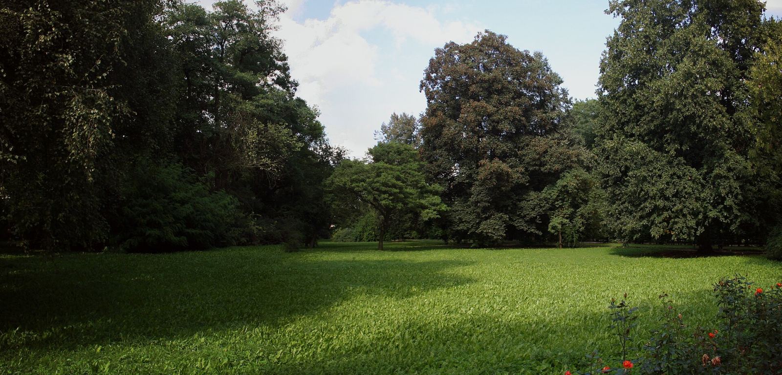 Park miejski, Koźmin Wielkopolski