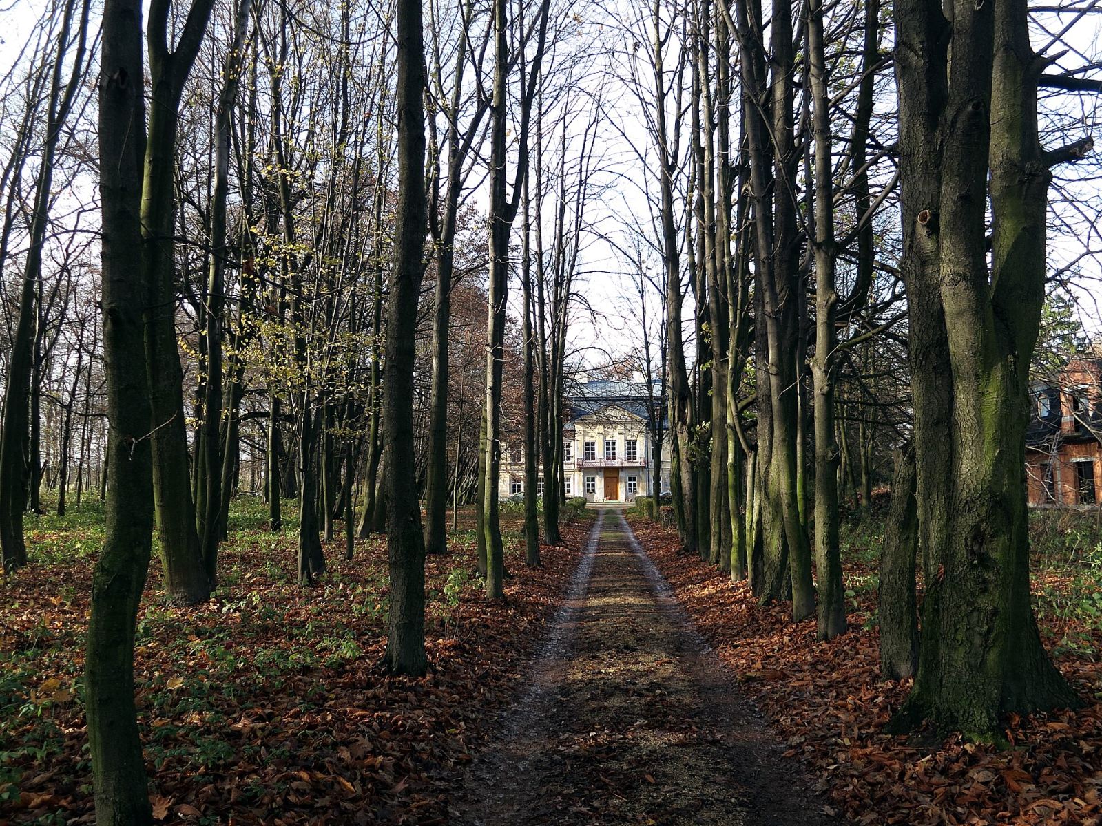 Park, Nakło