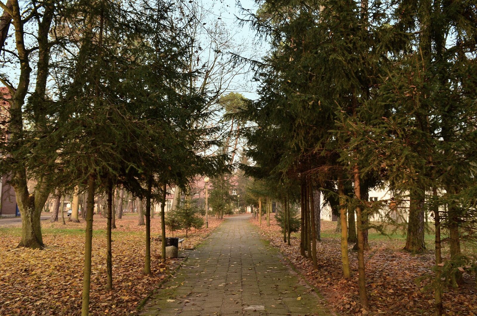 Zespół szpitalny, Kowanówko