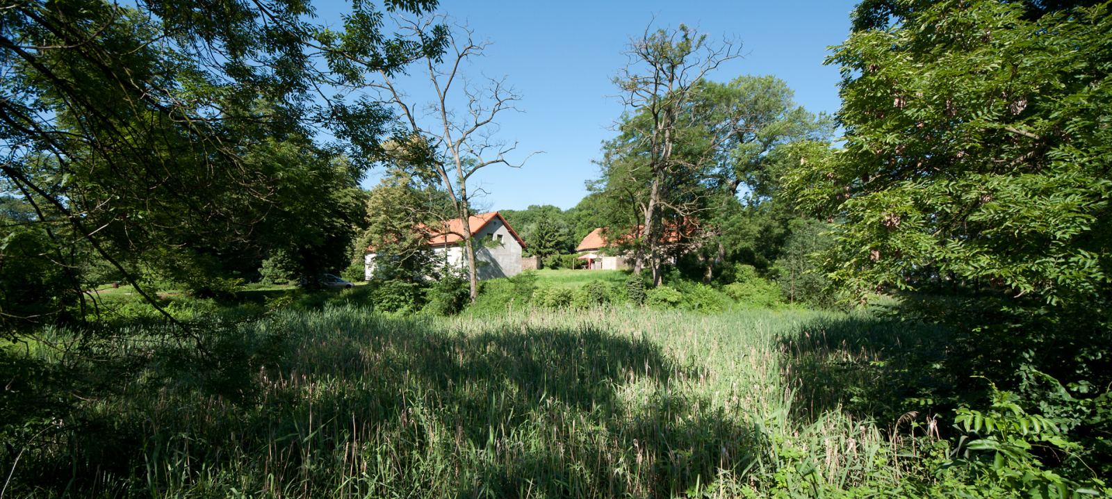 Relikty zamku, Borów