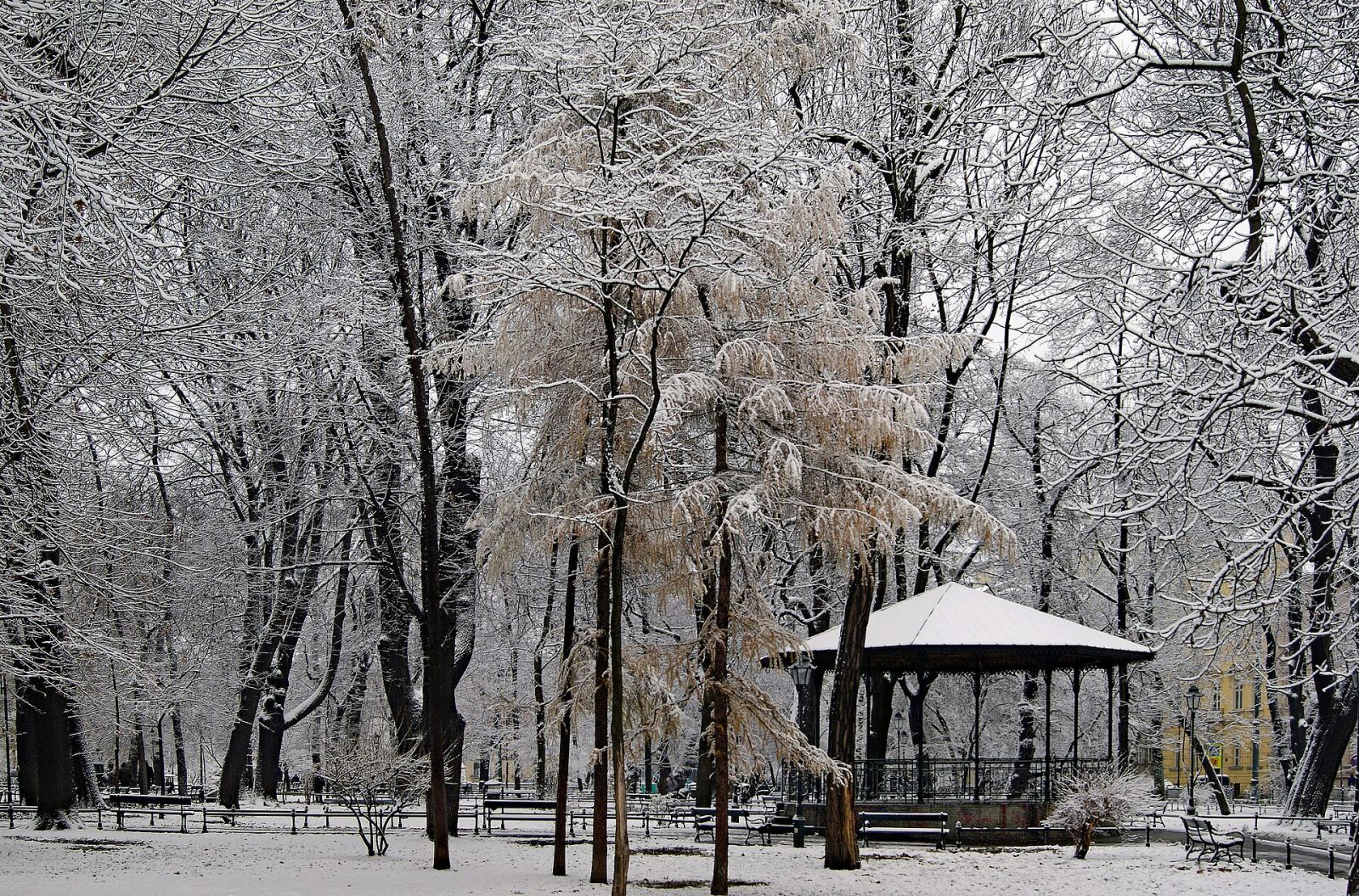 Planty, Kraków