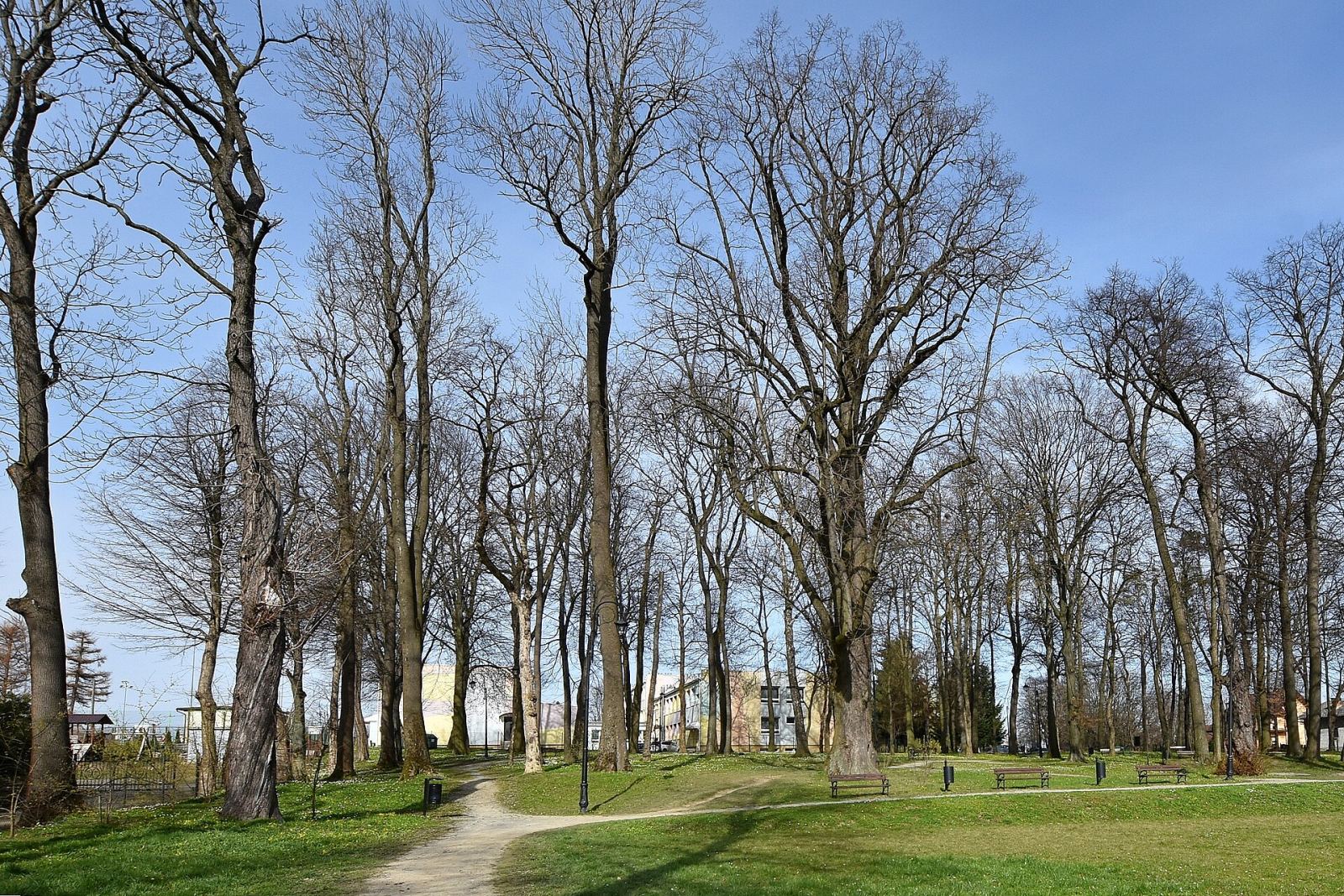 Park, Miejsce Piastowe