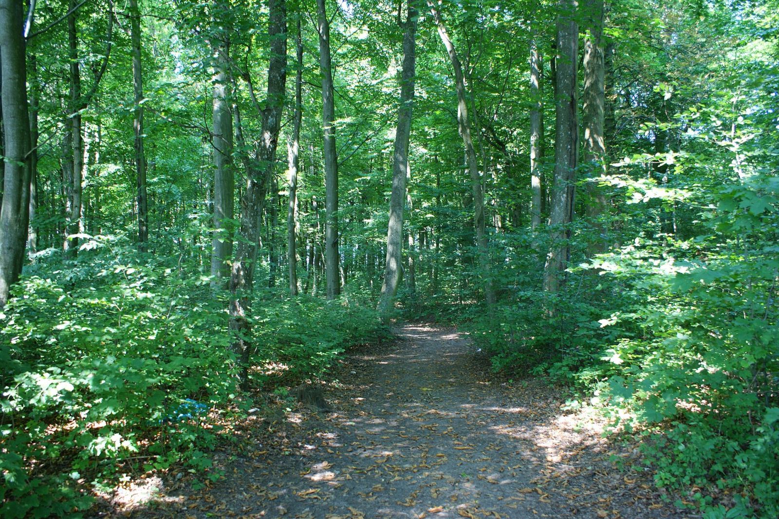 Park, Noskowo
