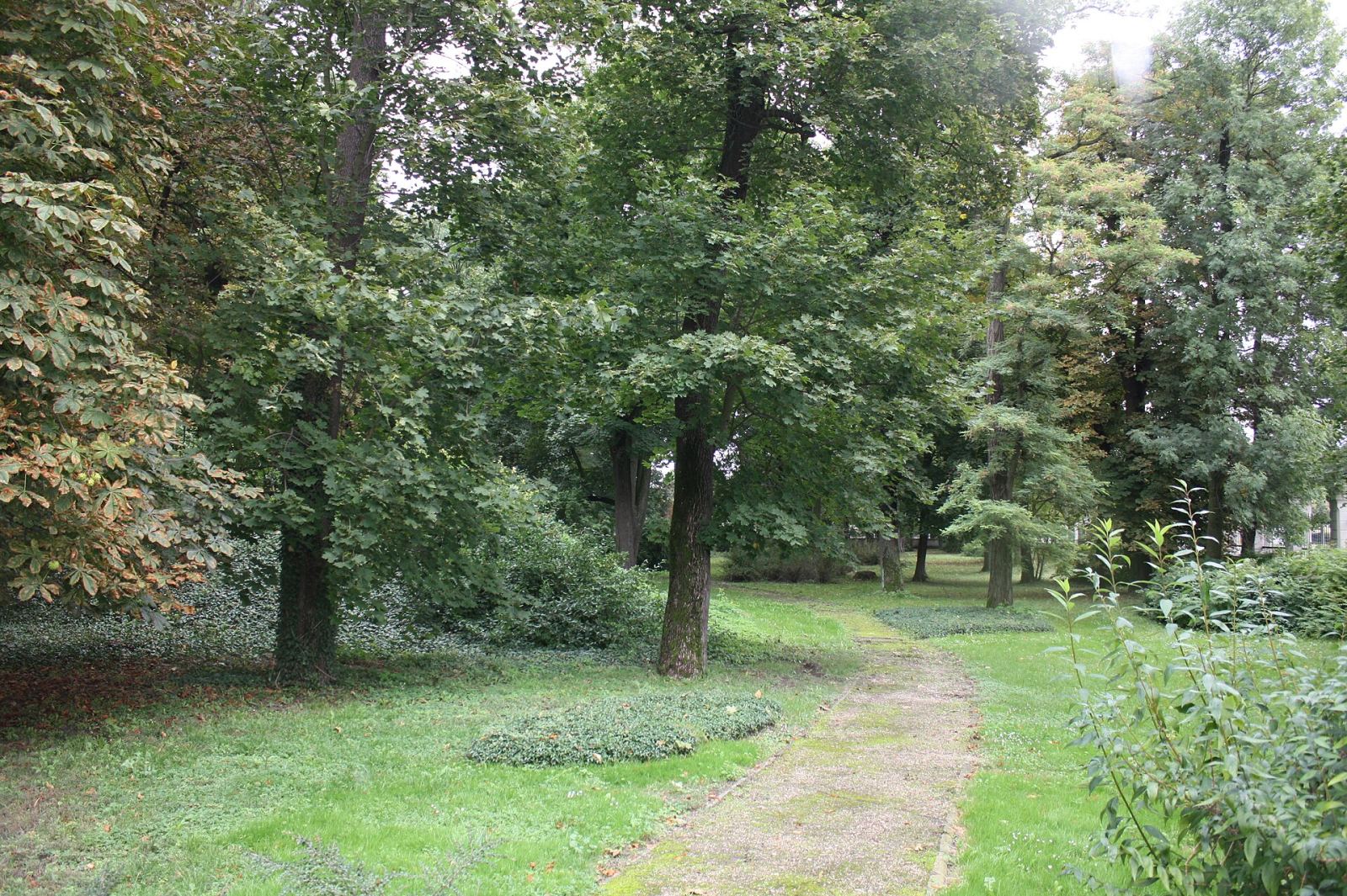 Park, Leszno