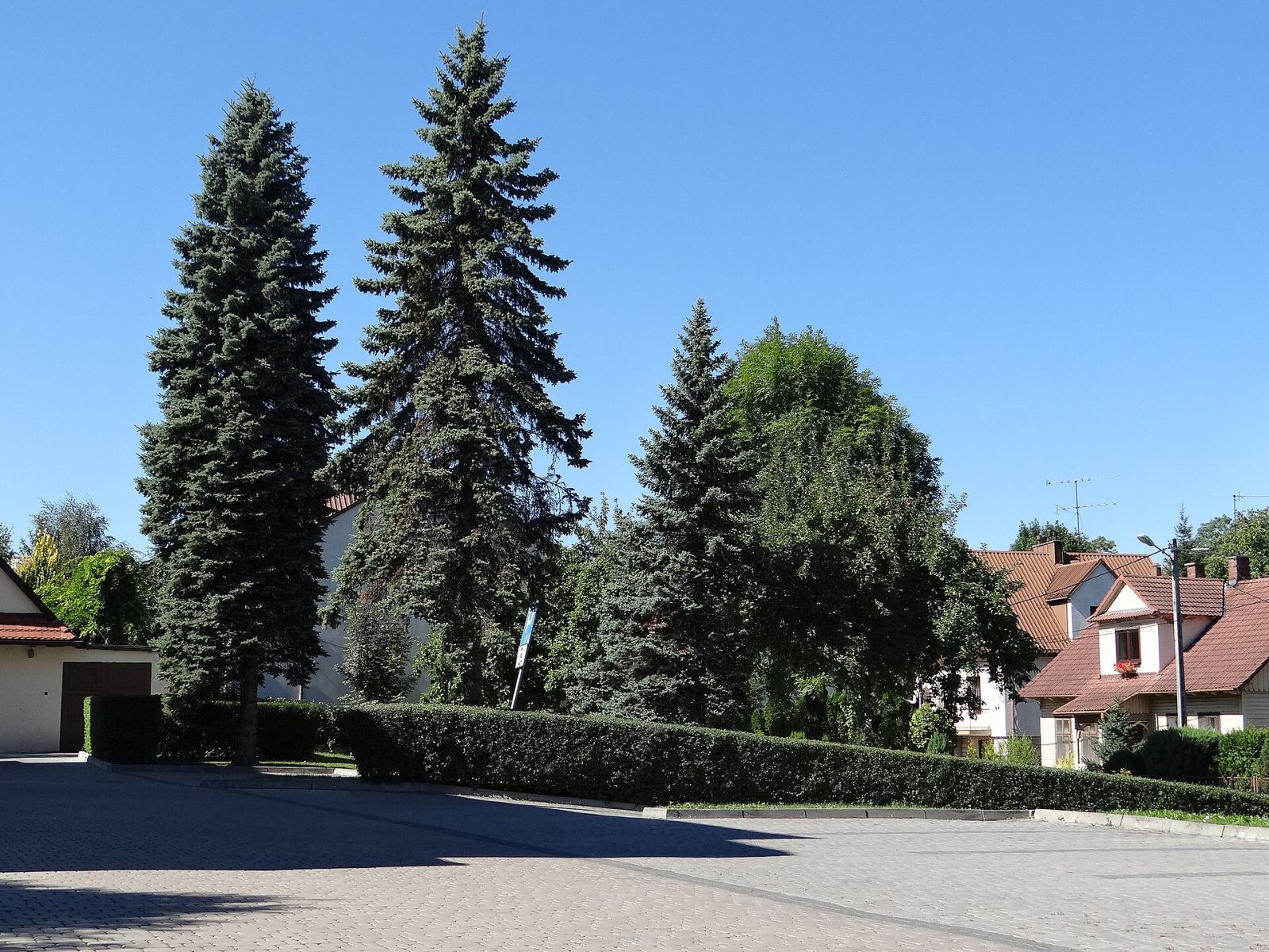 Ogród, Myślenice