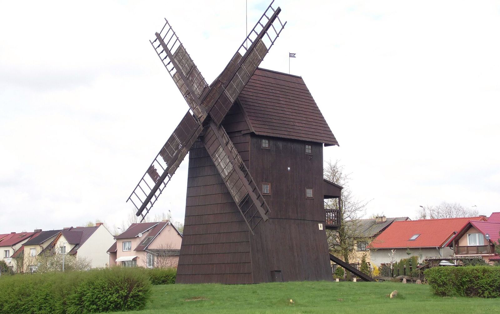 Wiatrak koźlak, Rydzyna