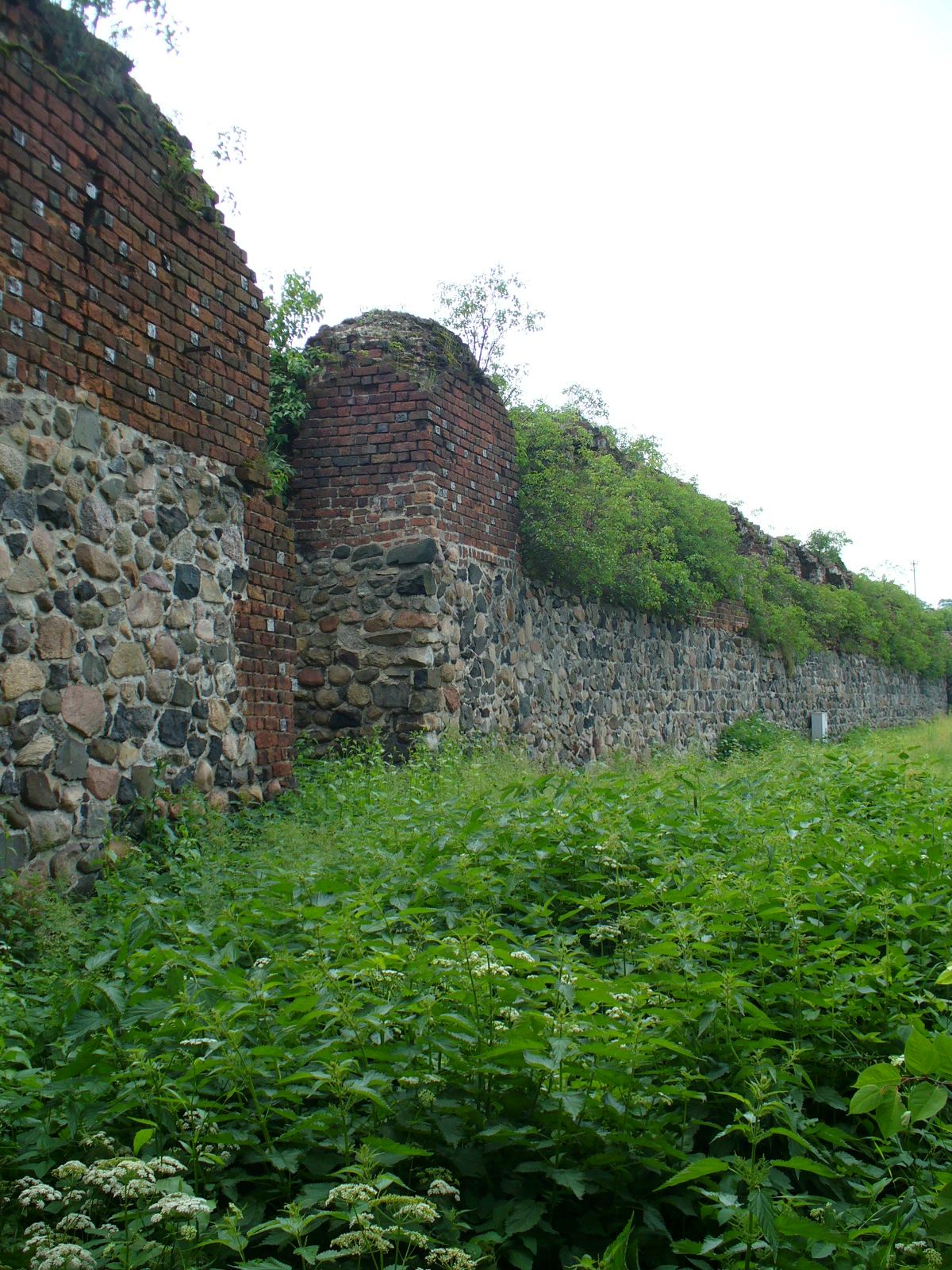 Park, Jastrzębie