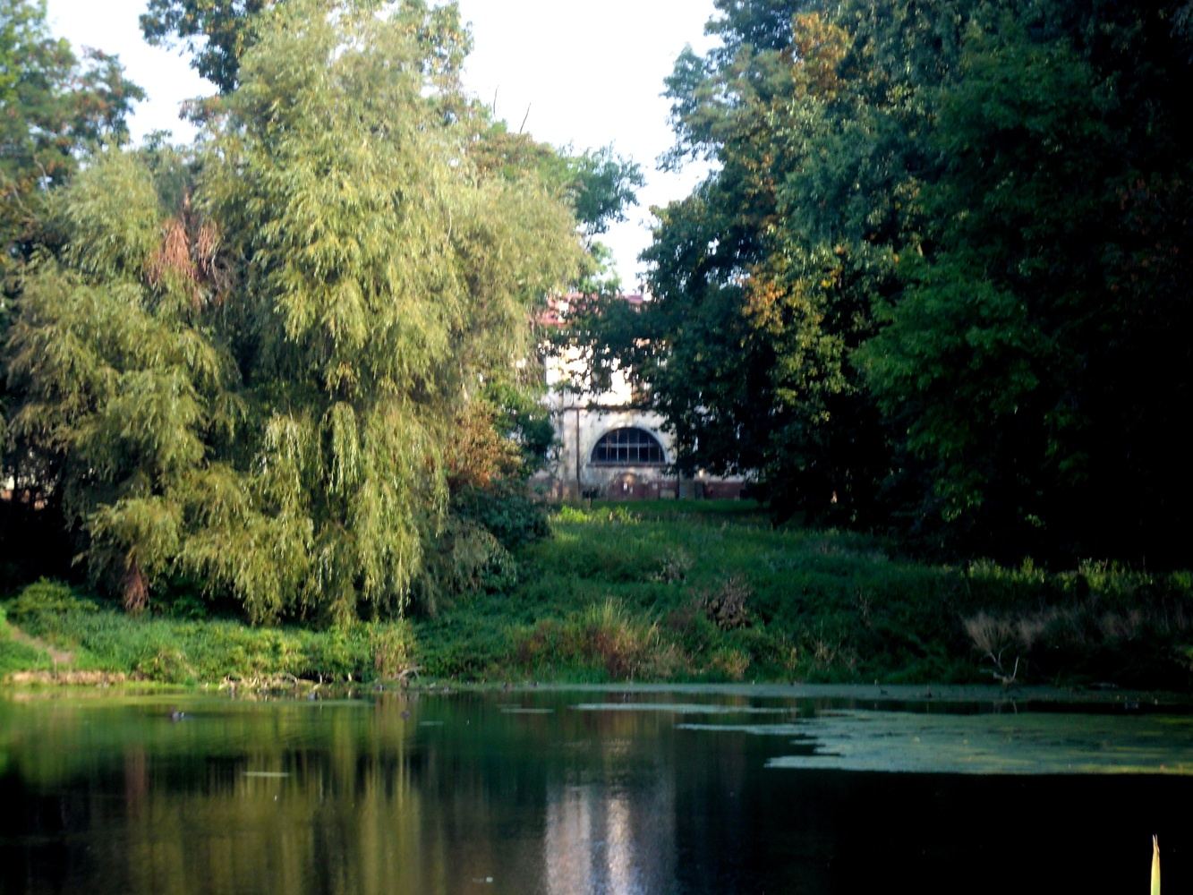 Park dworski, krajobrazowy, Bujny