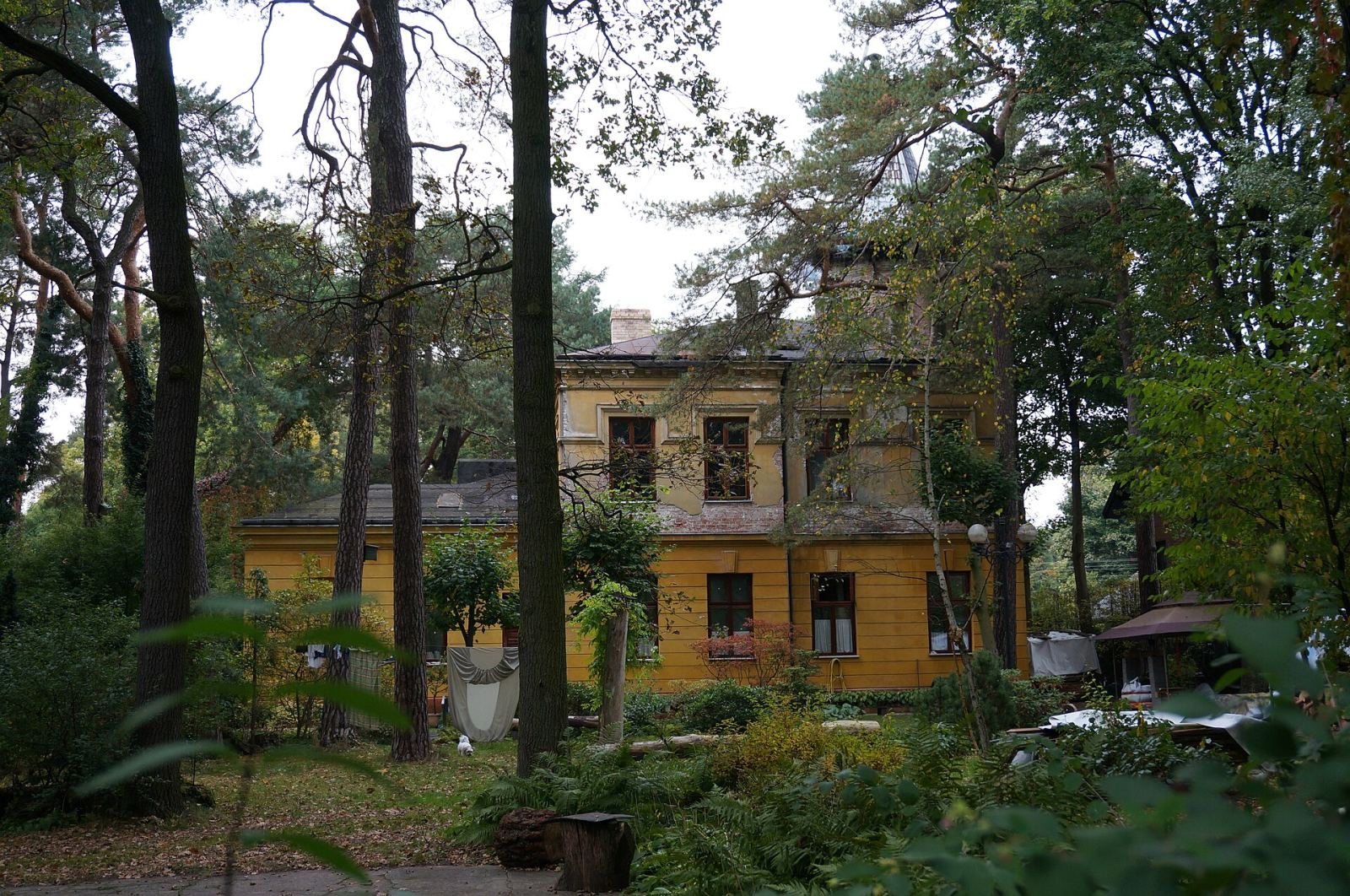 Otoczenie, Konstancin-Jeziorna
