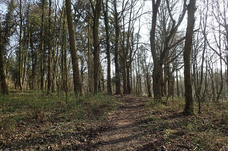 Park, Stolec