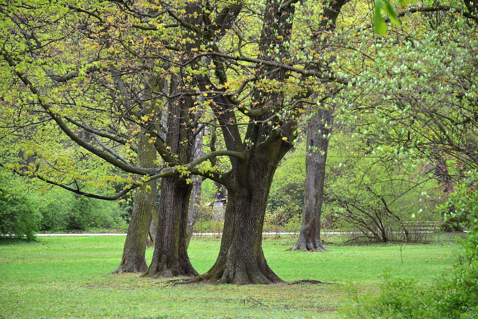 Park Praski, Warszawa