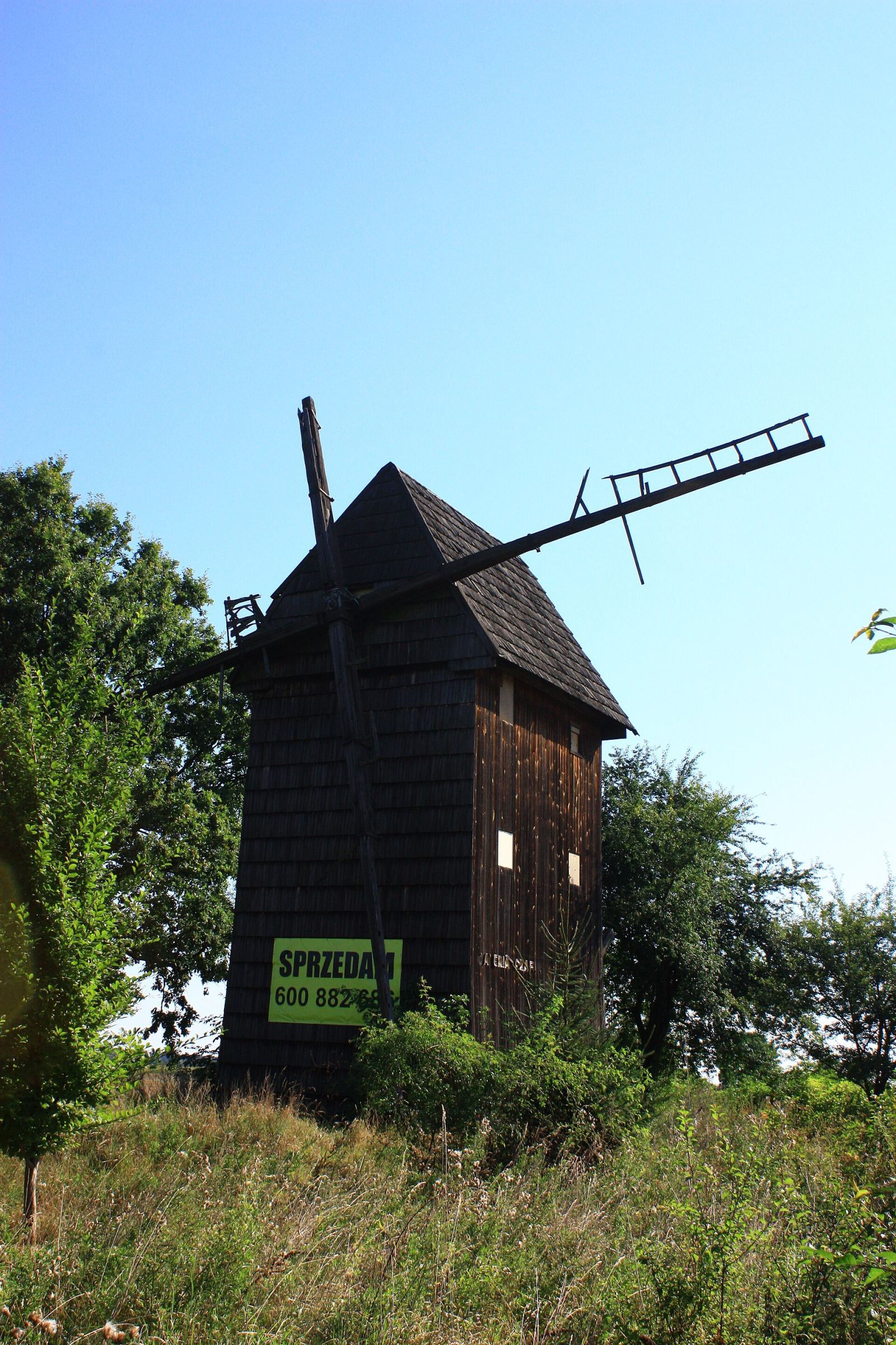 Wiatrak koźlak, Izbice