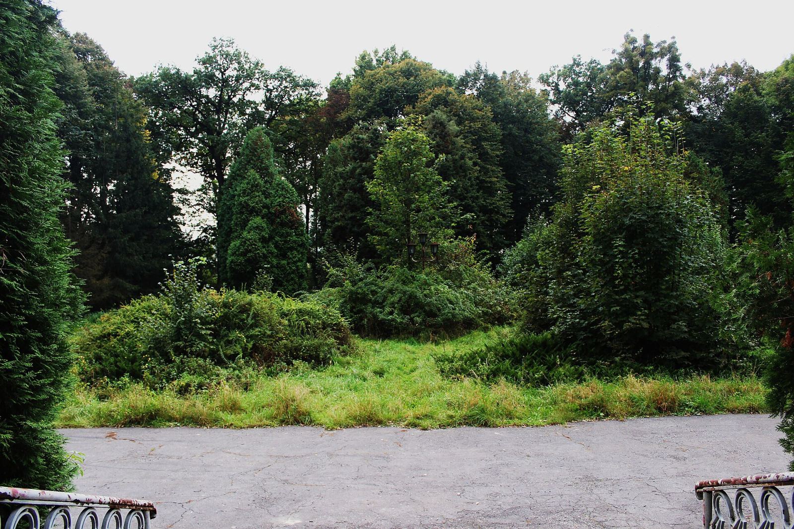 Park, Osiek