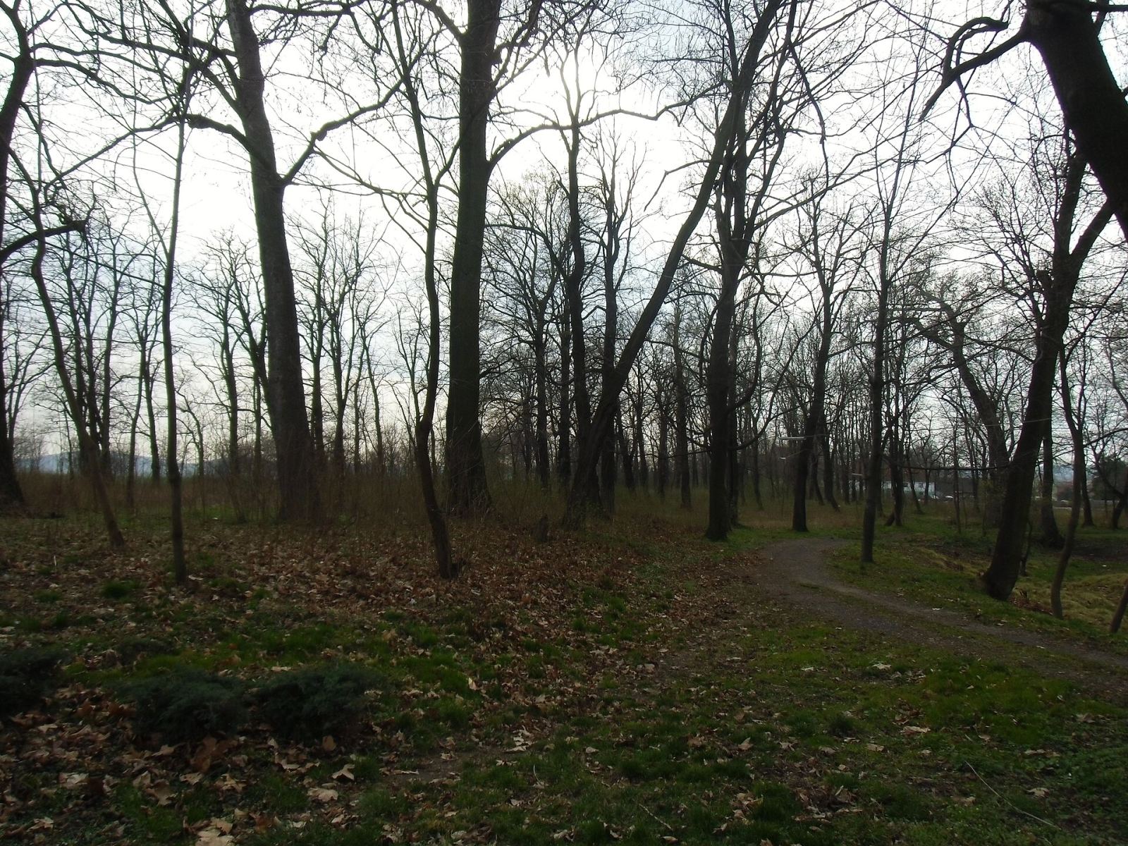 Park, Piotrowice