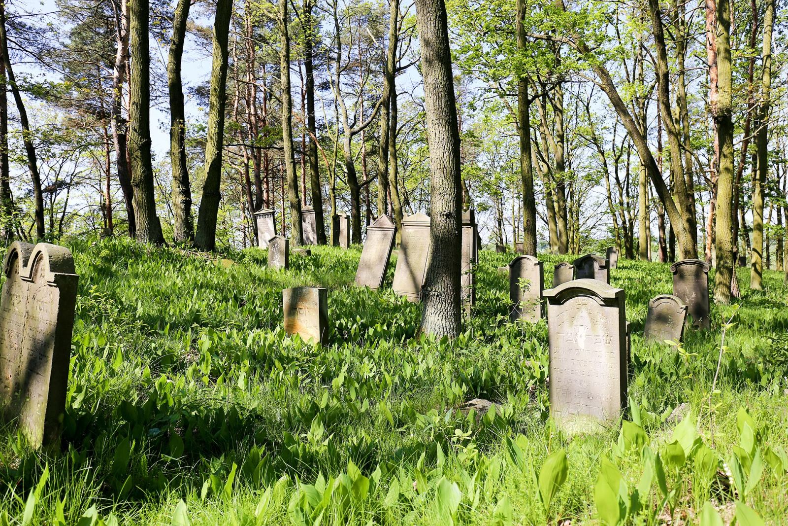 Cmentarz żydowski, Miejsce
