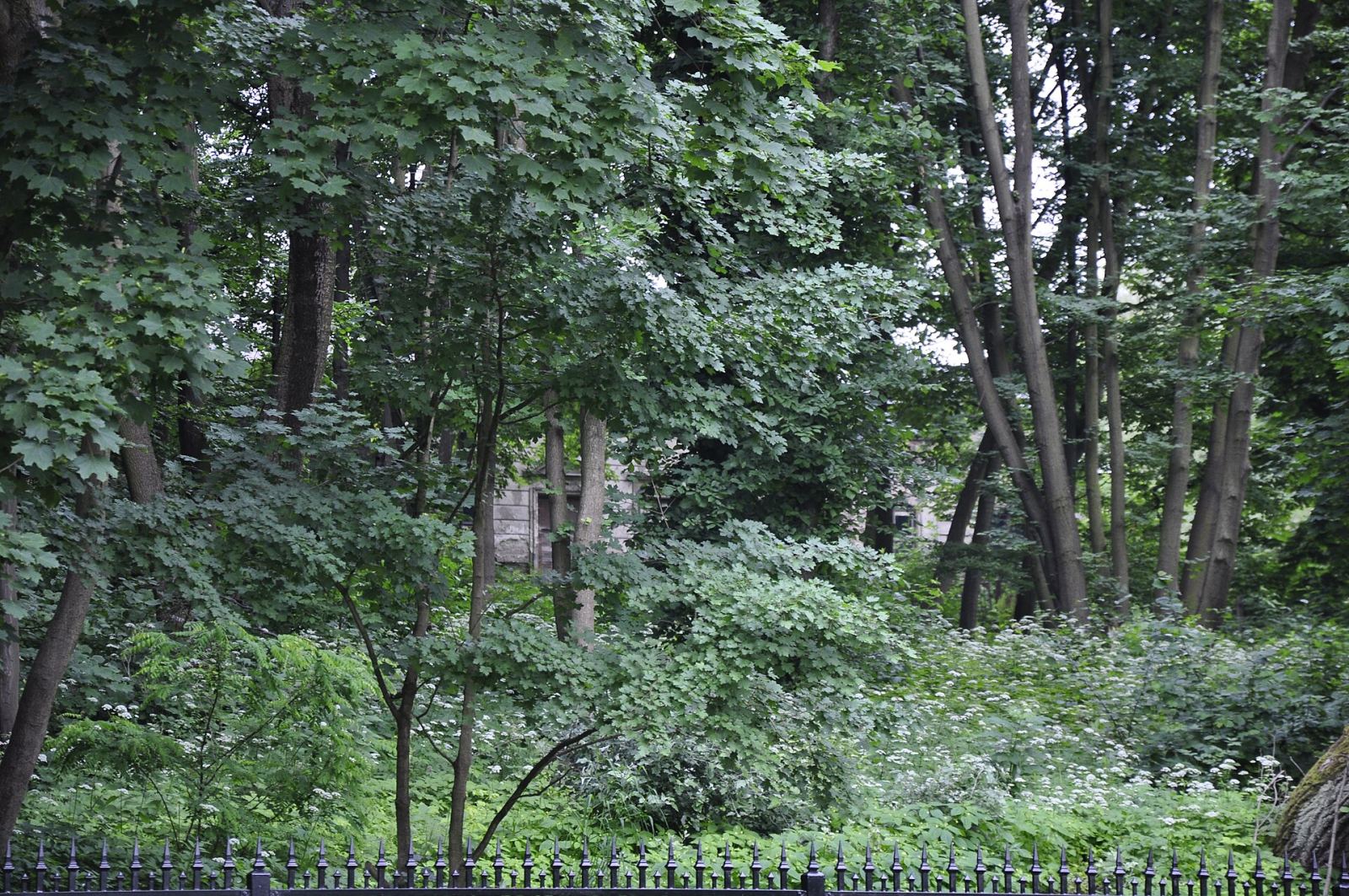 Park, Warszawa