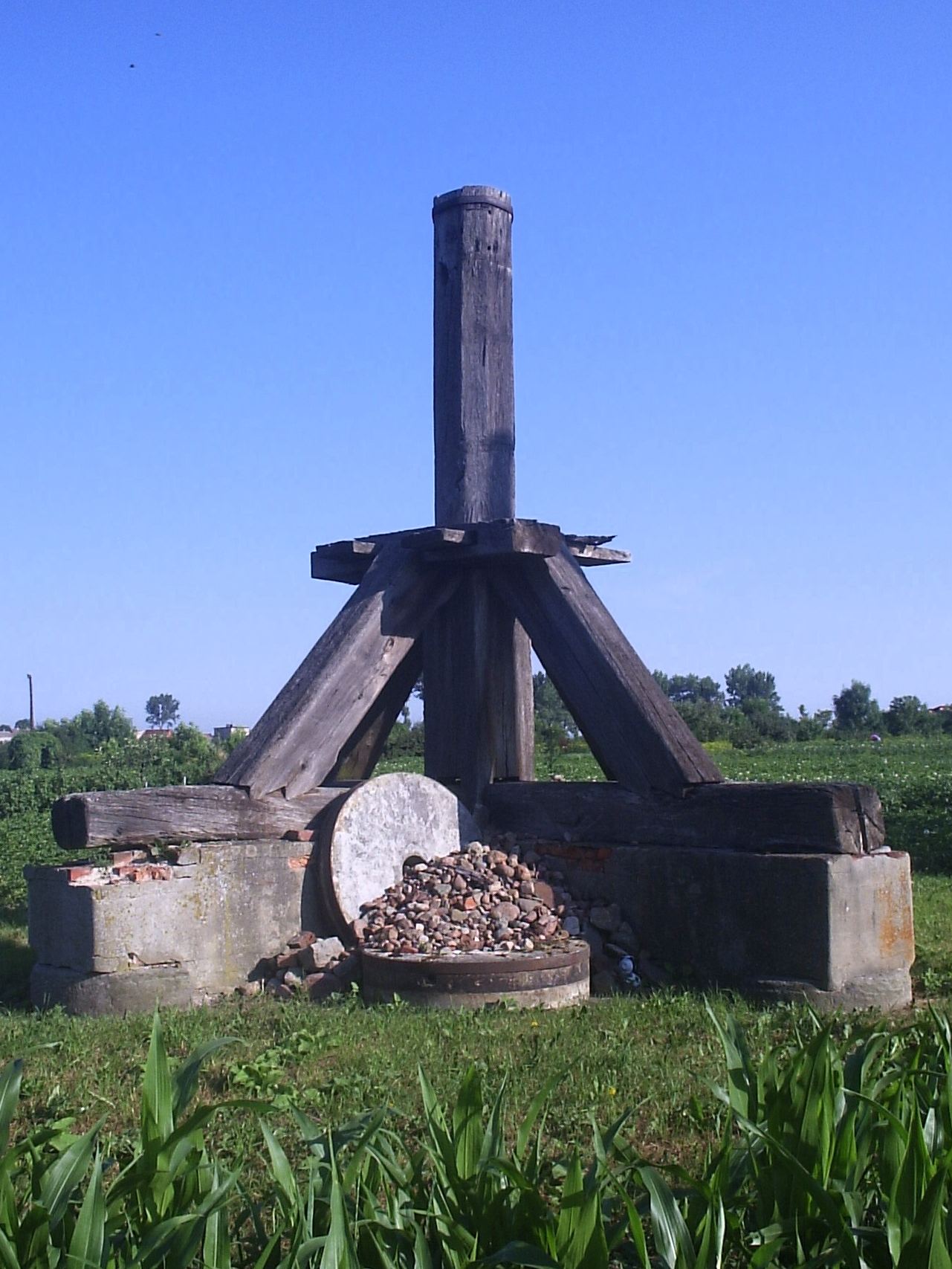 Wiatrak koźlak, Bodzewo