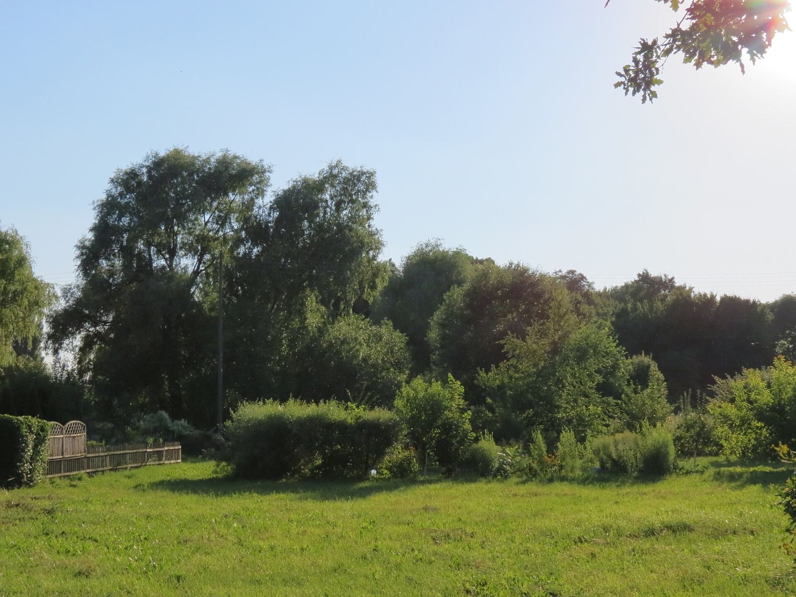 Park dworski, Murzynowo Kościelne