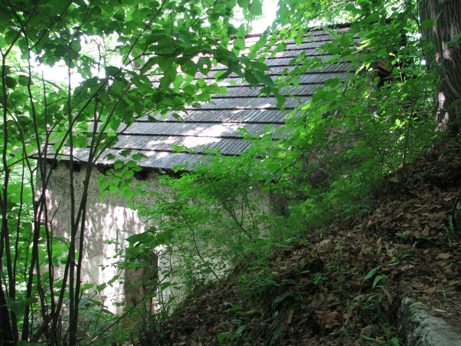 Kaplica - pustelnia bł. Salomei, Grodzisko