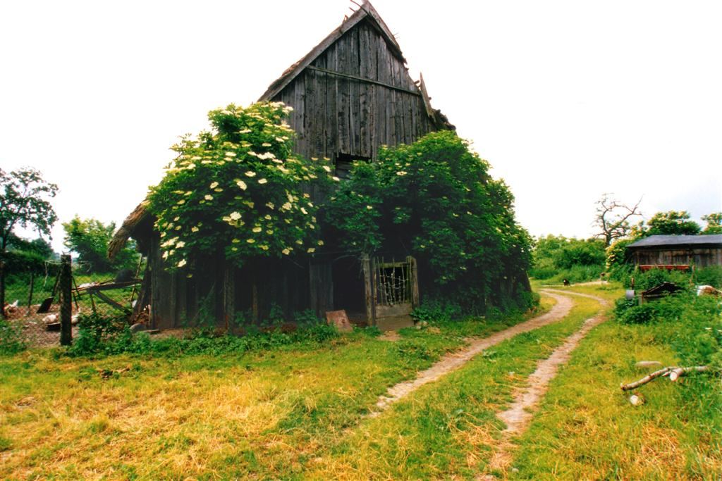 Budynek mieszkalno-inwentarski, Ciechocinek