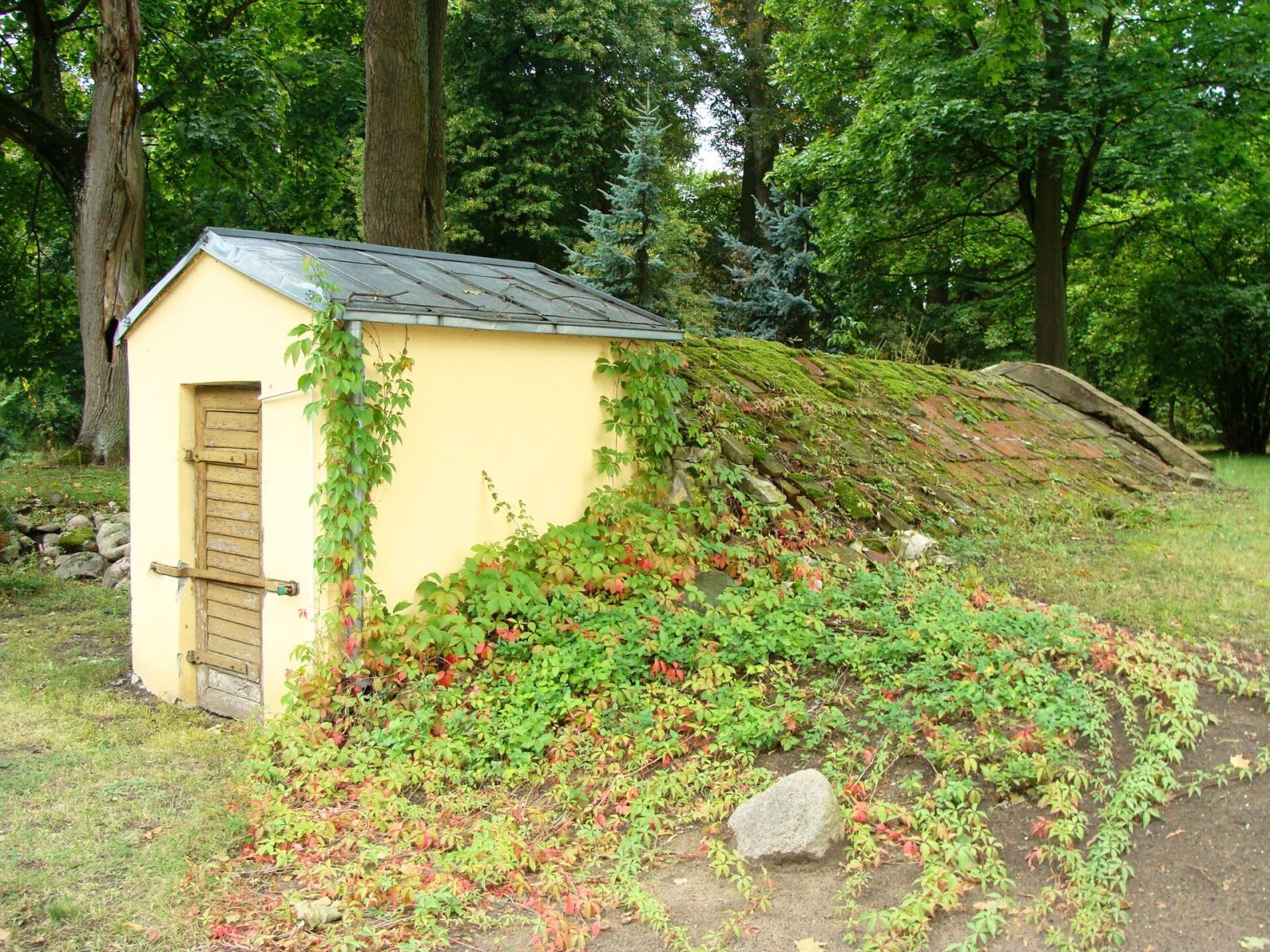 Piwnica-lodownia, Lubostroń