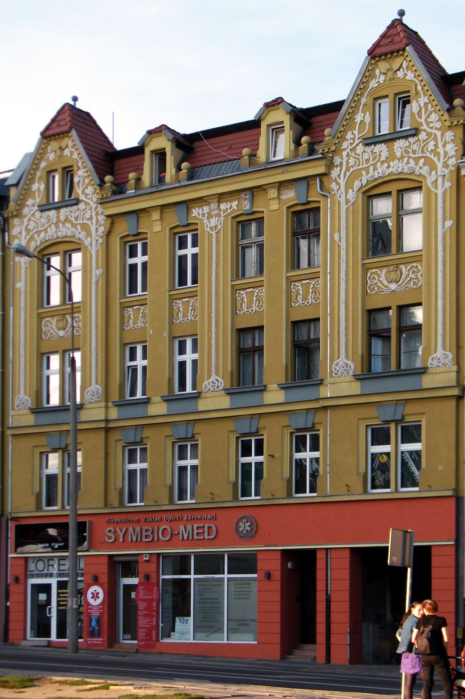 Dom, Opole