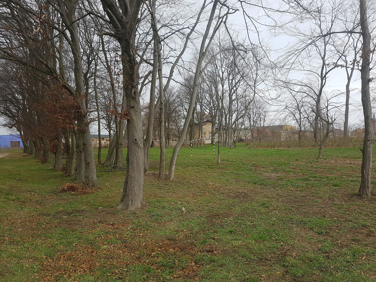 Park podworski, Marzenin