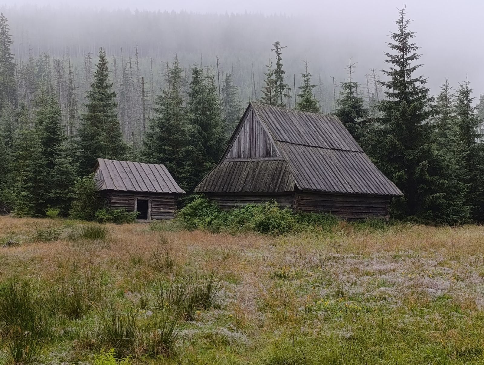 Szałas 2A, Zakopane