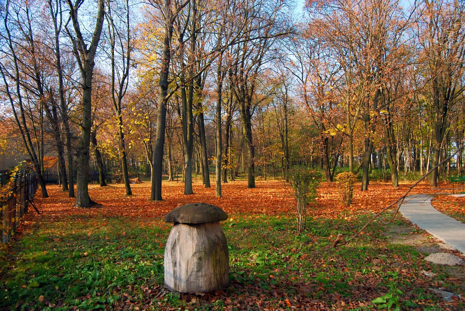 Park, Gniezno