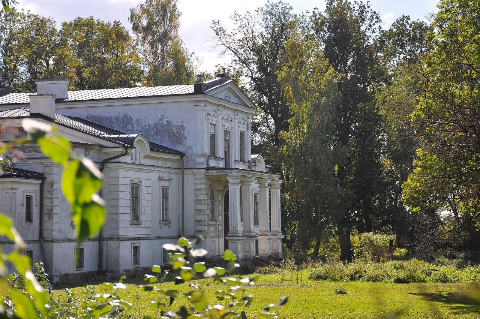 Dwór, Krzewata