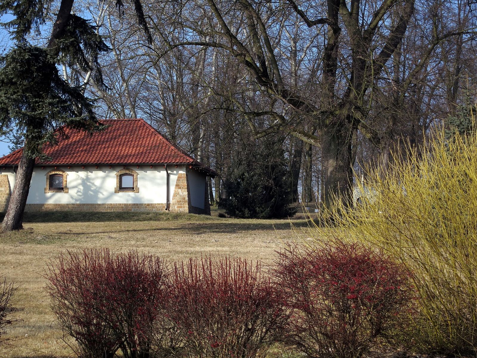 Park dworski, krajobrazowy, Sokola Góra