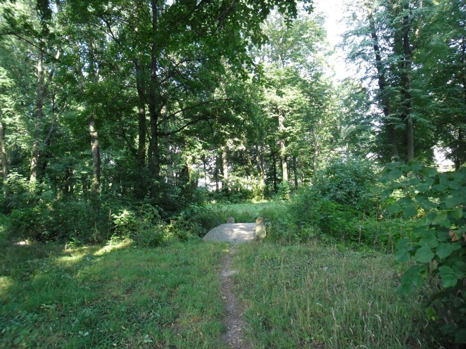 Park, Łojowice
