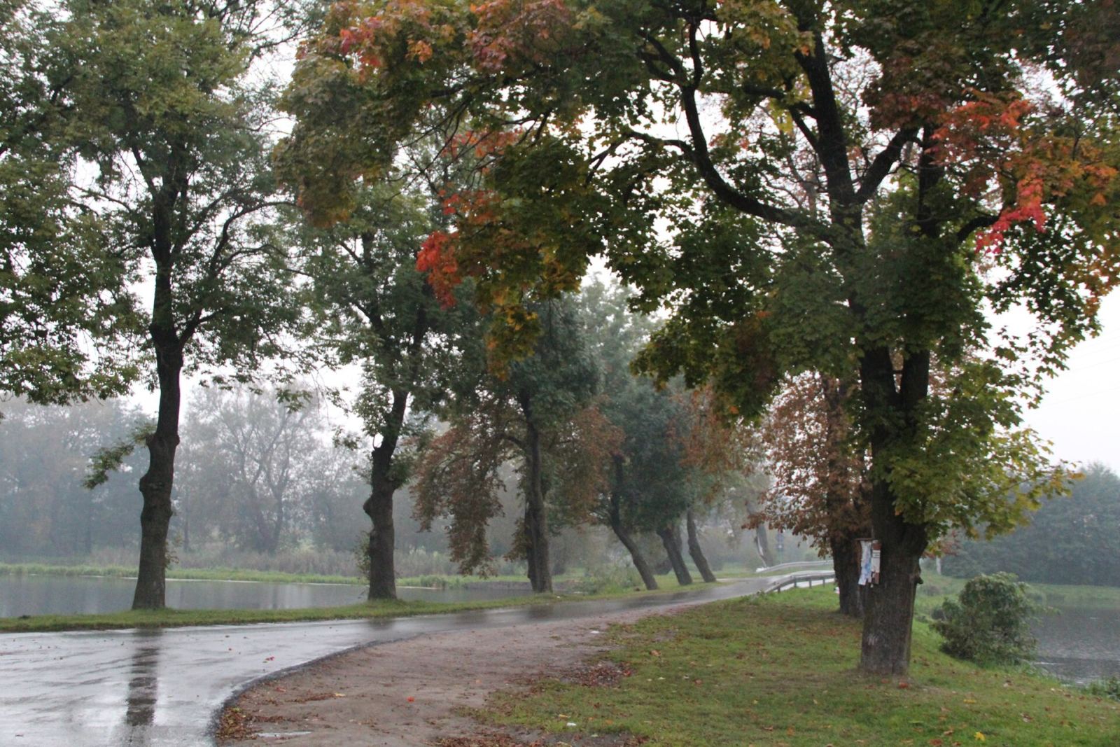 Park, Dominów