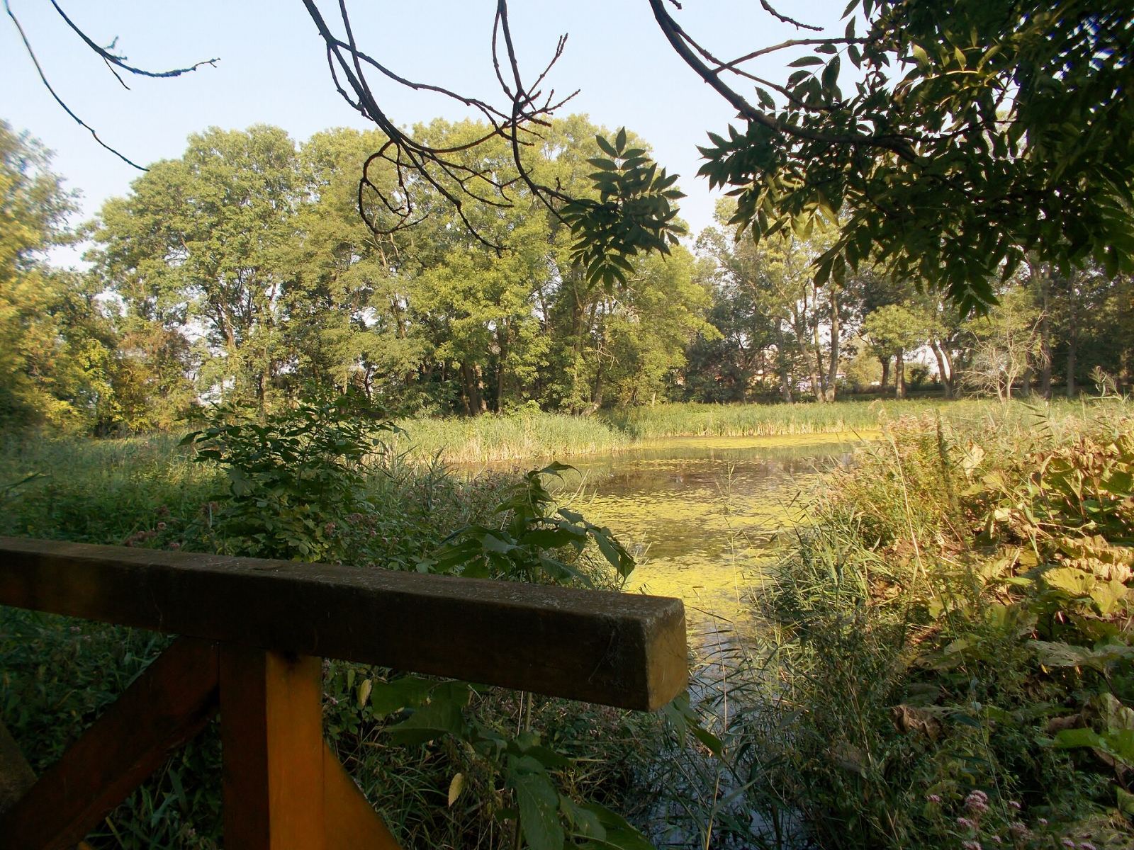 Park, Komorowo