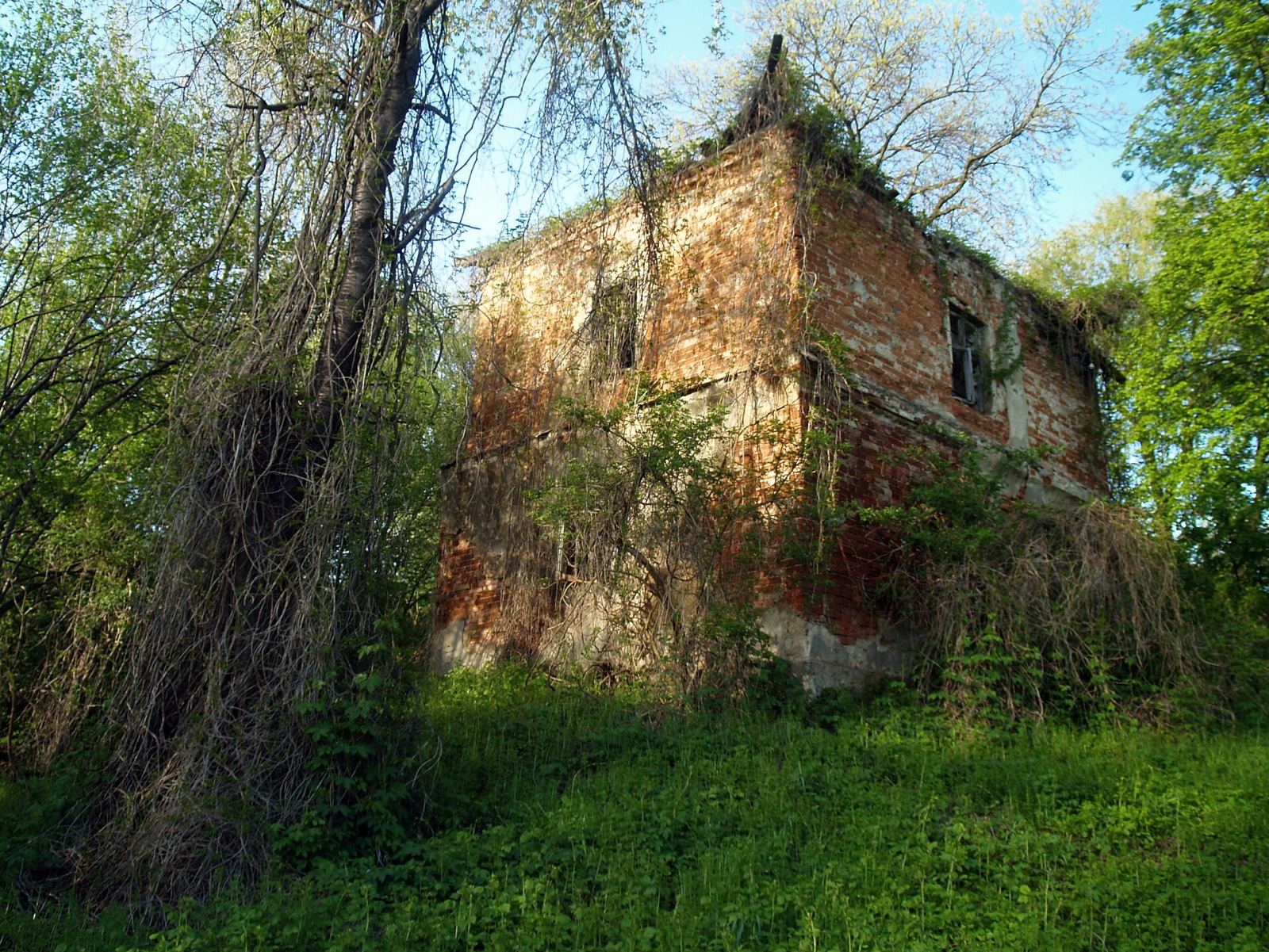 Zespół dworsko-parkowy, Dębica