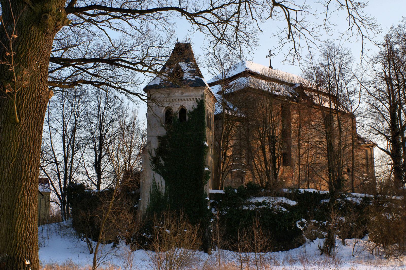 Zamek, Jędrzychów
