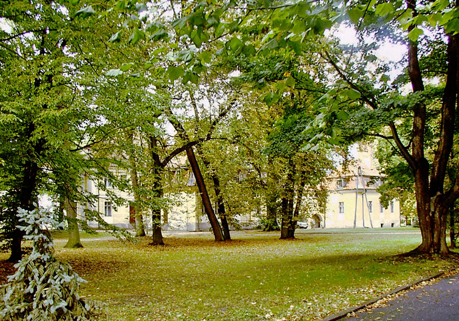 Park, Dłoń