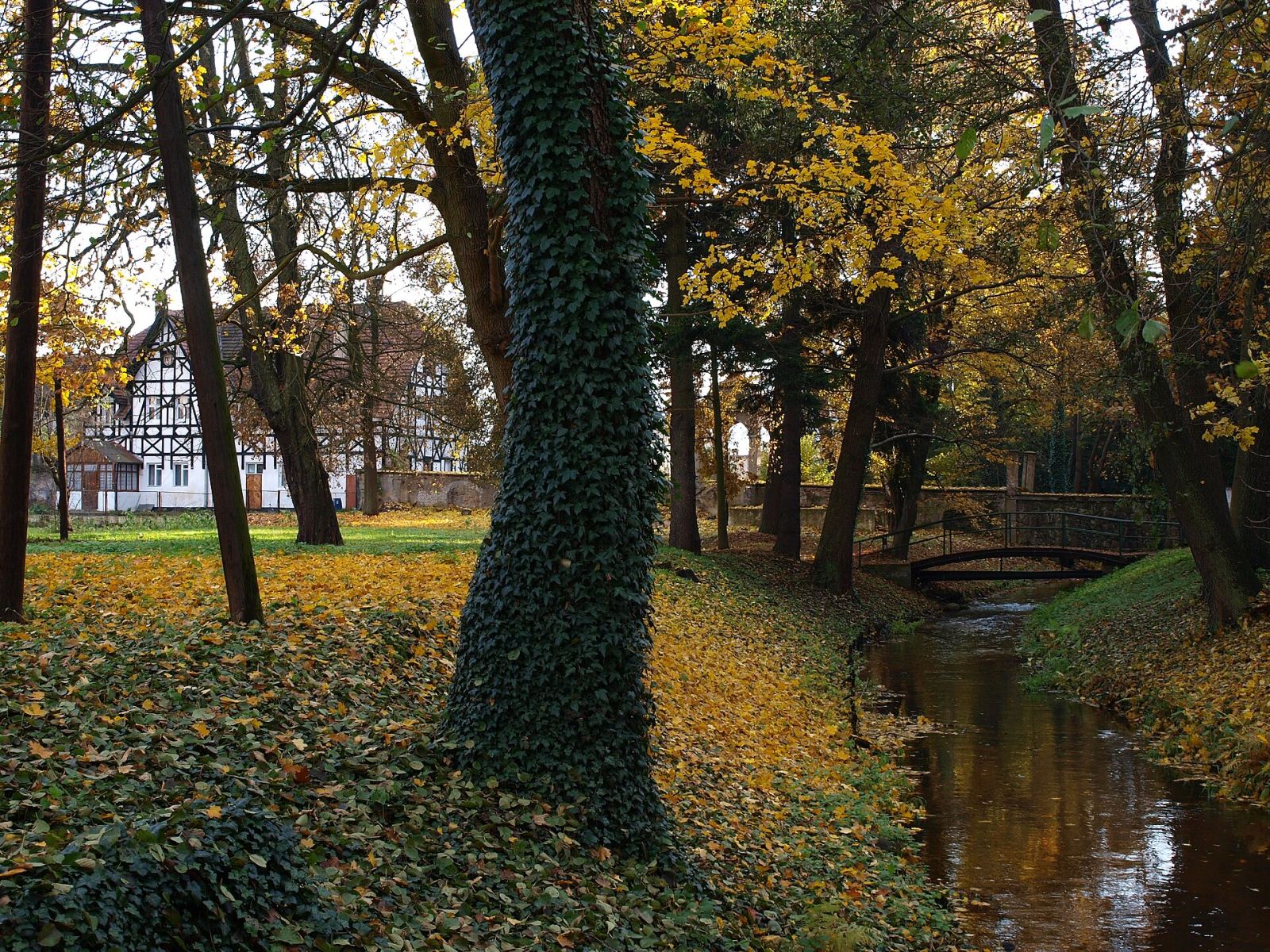 Park pałacowy, Iłowa