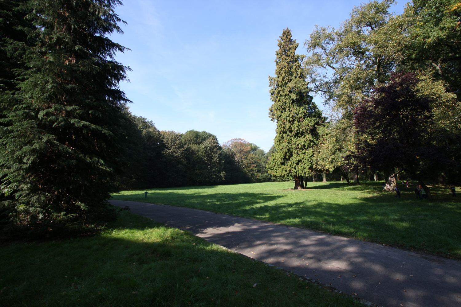 Park pałacowy, Rakoniewice