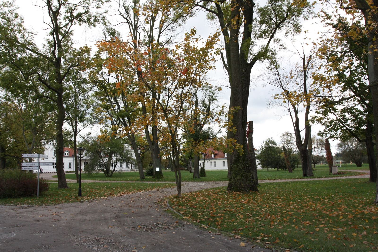 Park, Łochów