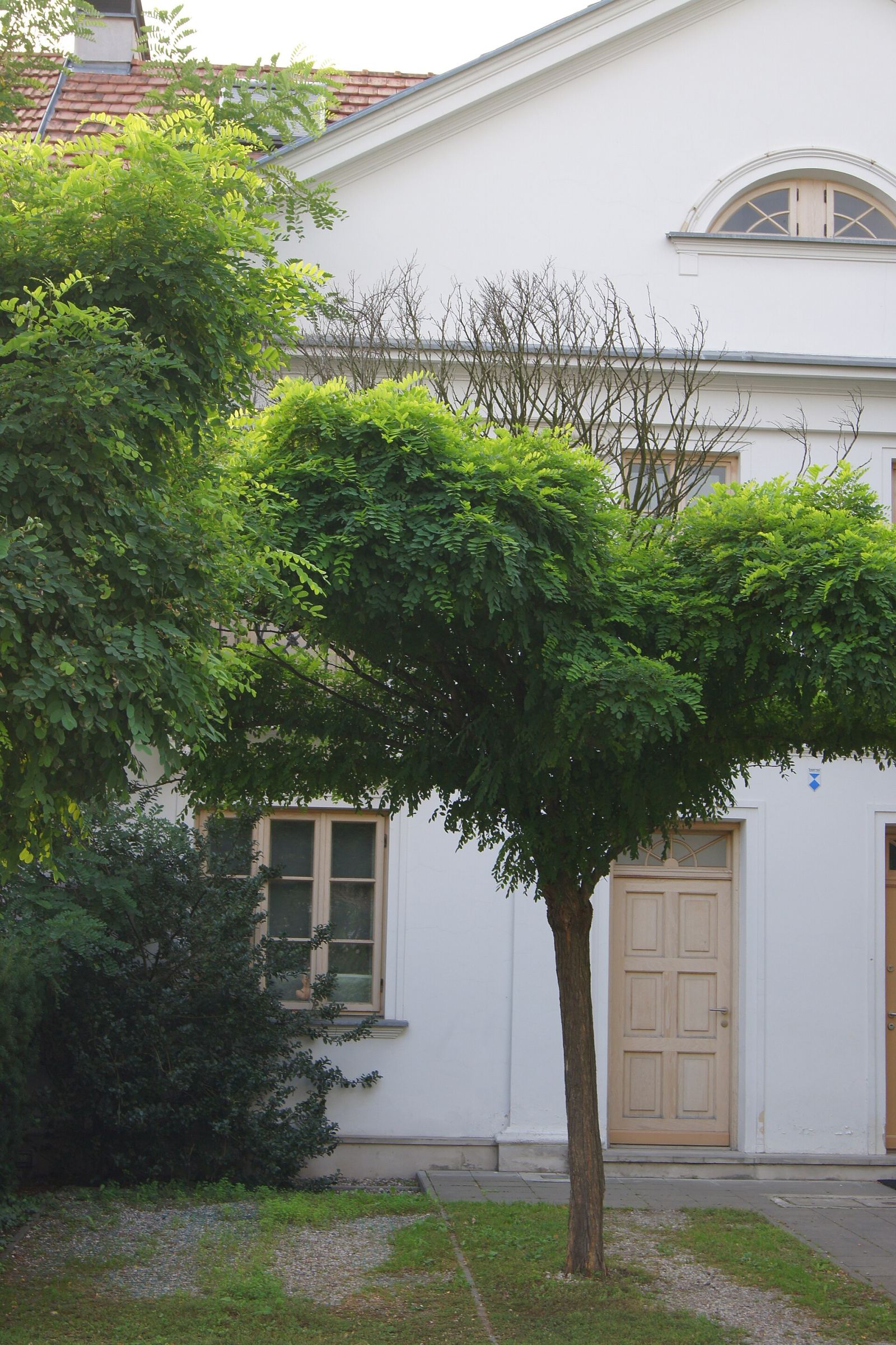 Segment mieszkalny, Warszawa