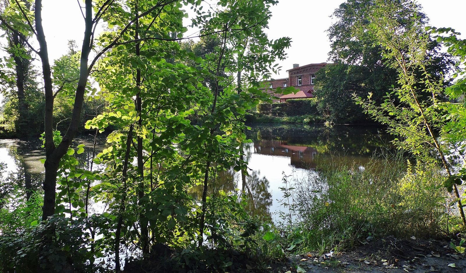Park, Leszno