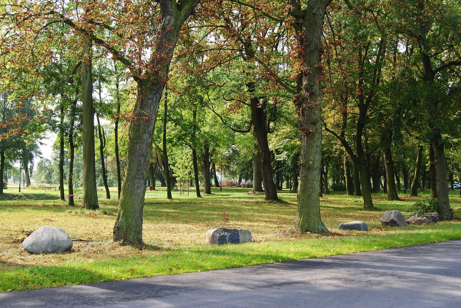 Park z aleją lipową, Głębokie