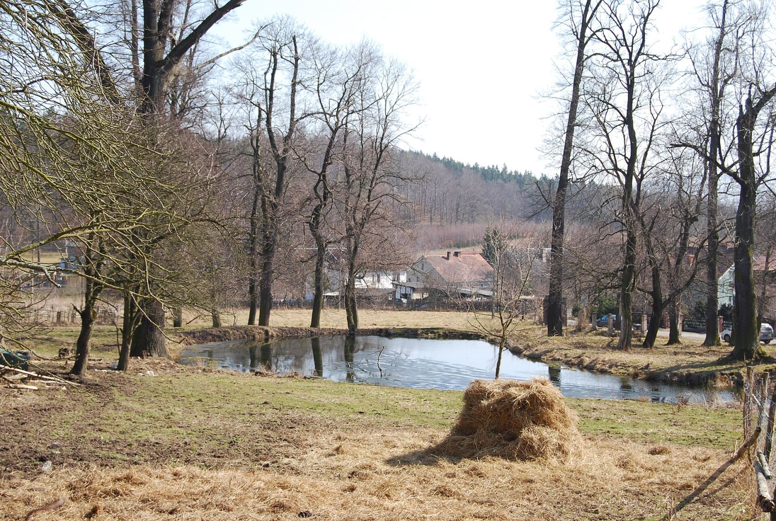 Park, Dąbrowica