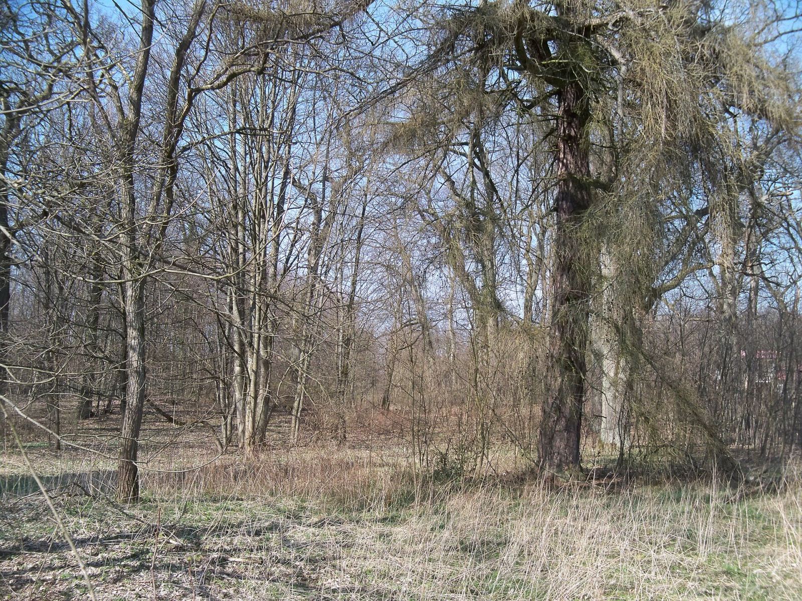 Park, Smęcino