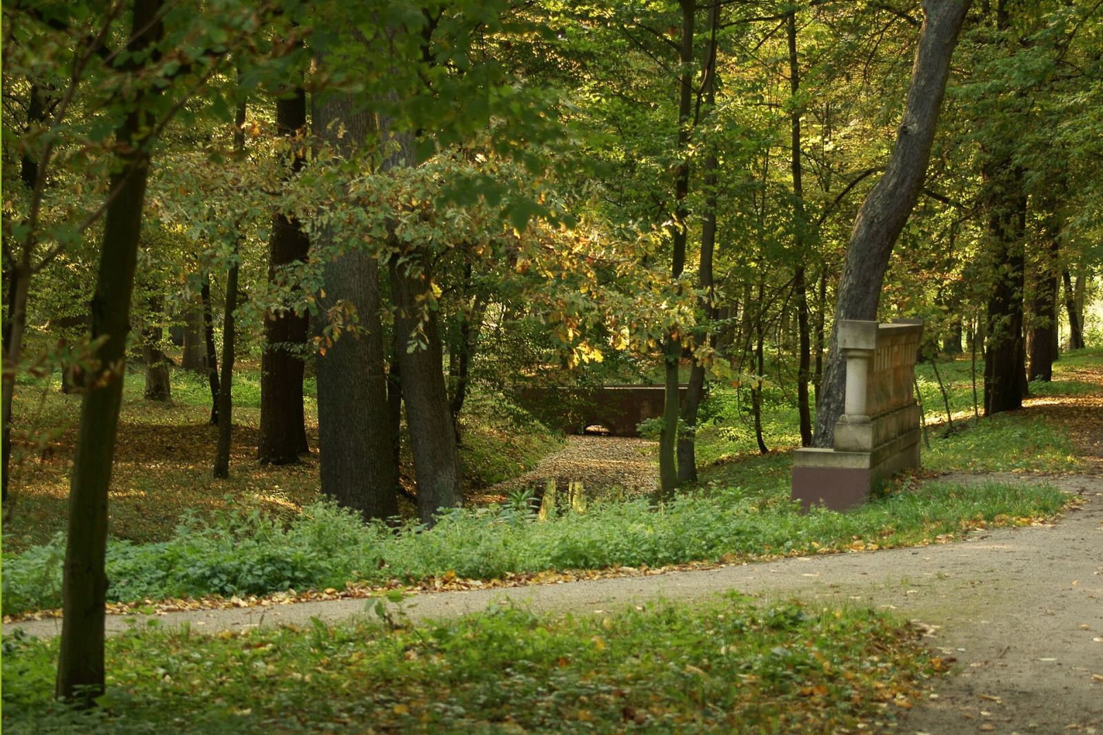 Park, Chocianów