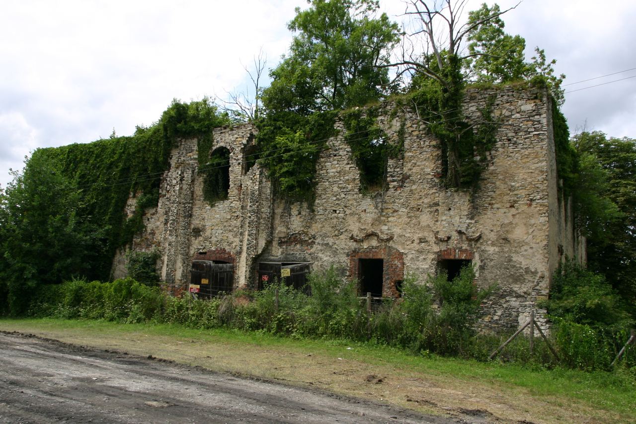 Ruina zamku, Zakrzów