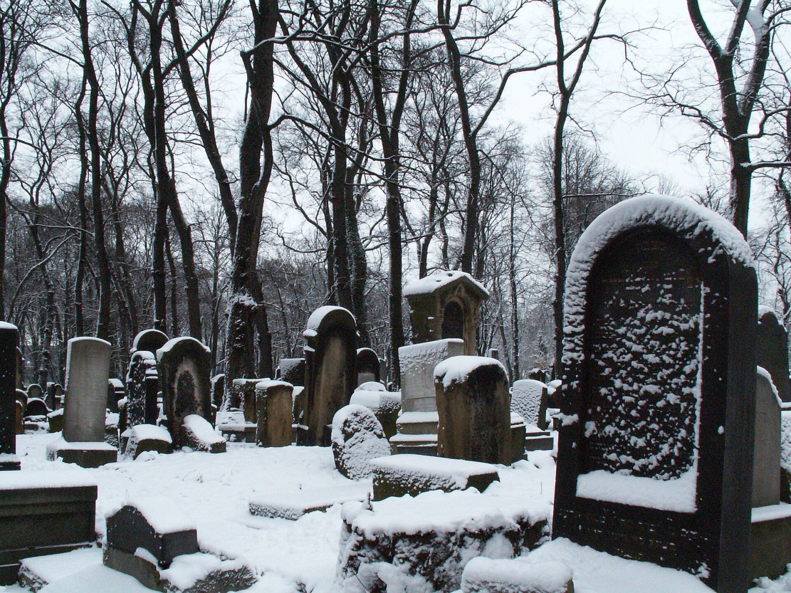 Zespół cmentarza żydowskiego, Kraków