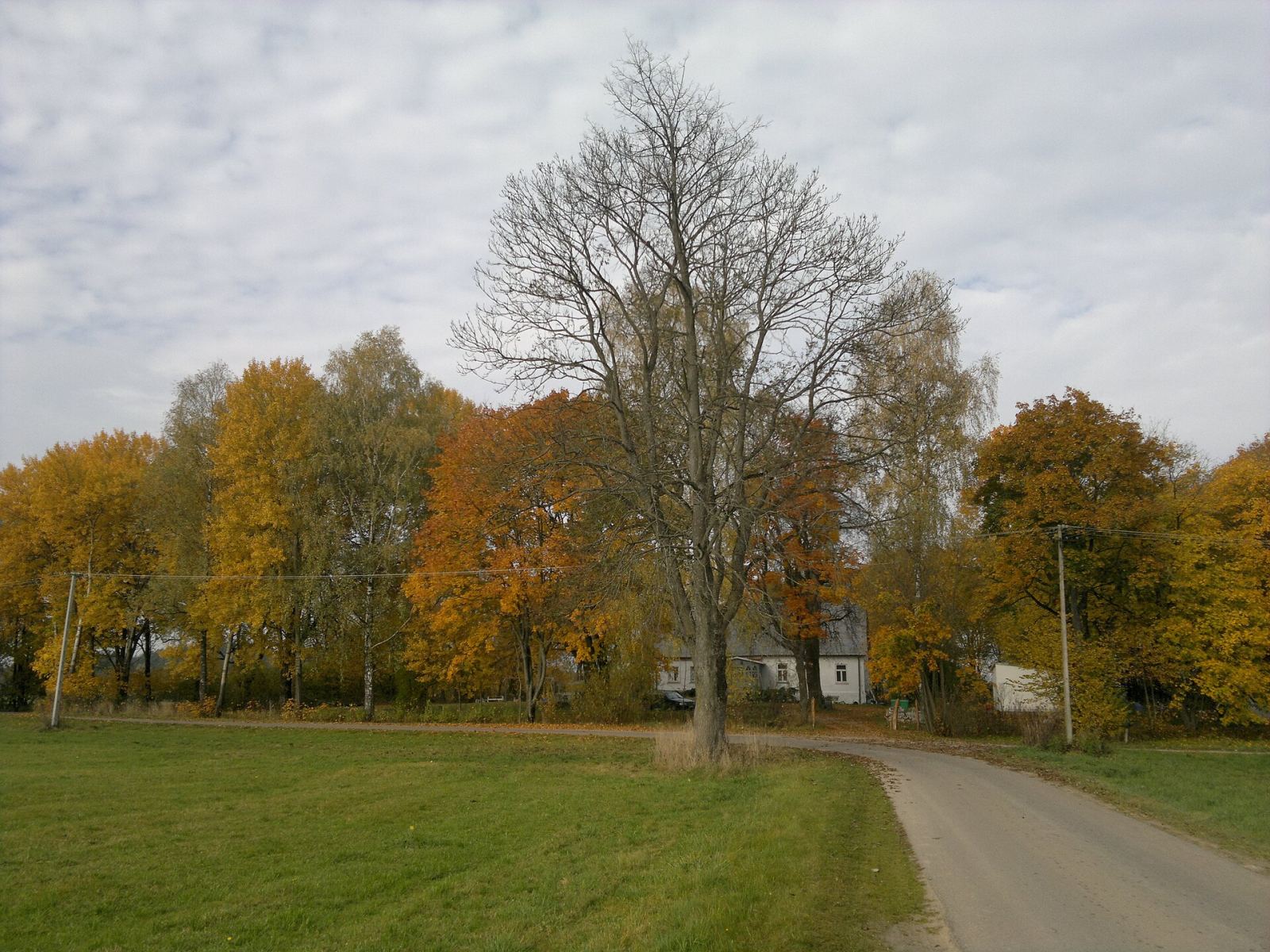 Park, Łumbie